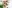 Sample 4 image