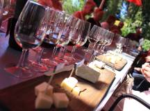 Discover Northern Portugal – Premium Adventure