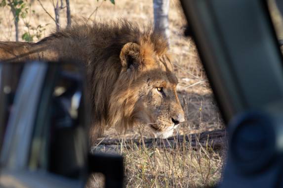 Wildlife & Wilderness of Botswana