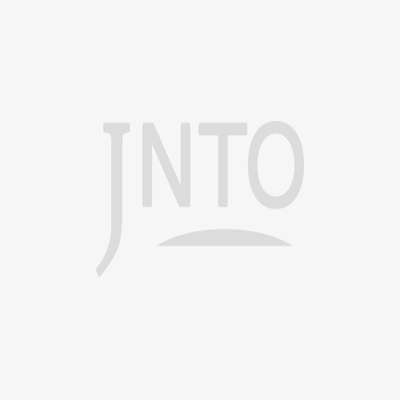 Hida Takayama Sake Breweries