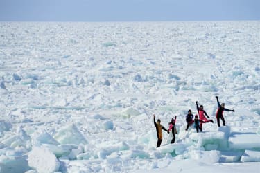 Drift Ice Walking Tour