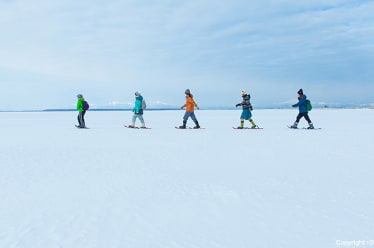 Touring Todowara's Frozen Horizon