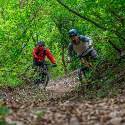Mountain Biking in Nozawaonsen