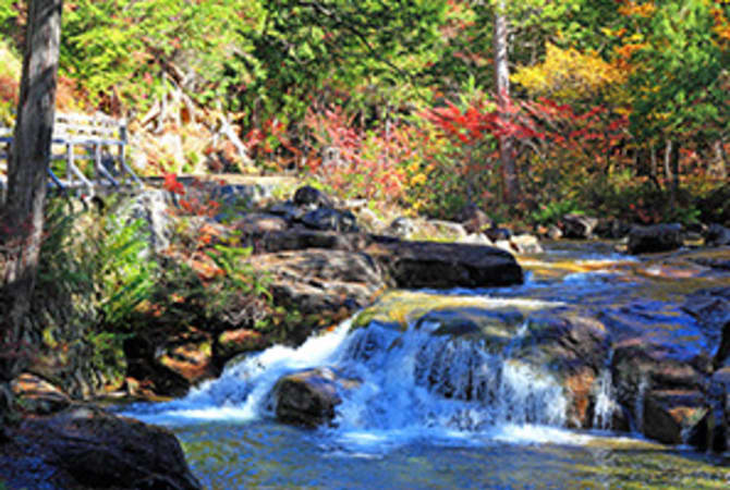 Relax in Akasawa Natural Recreational Forest