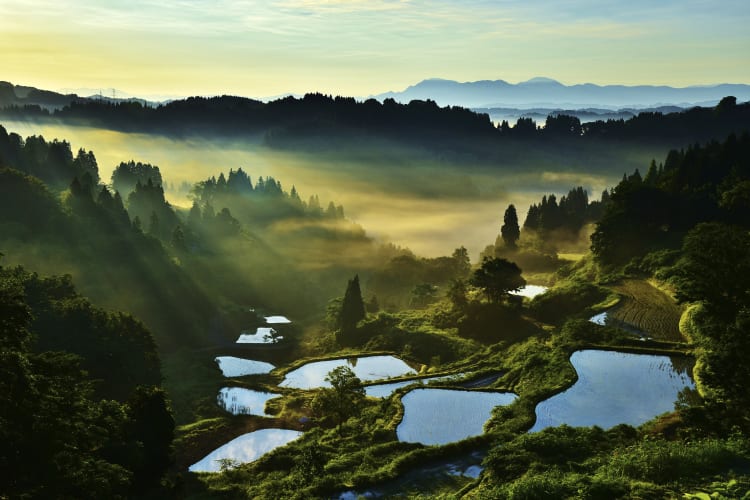 Shikoku, Shimane, Sendai or somewhere else—explore new destinations