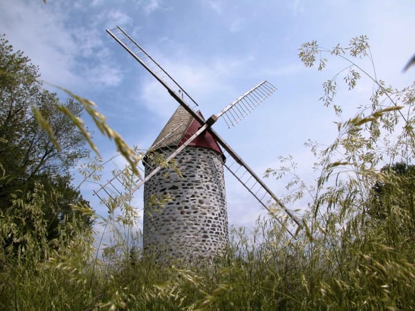 Animations au Vieux-Moulin